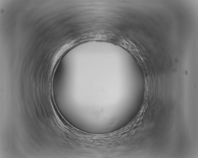X0000059840003200510211009