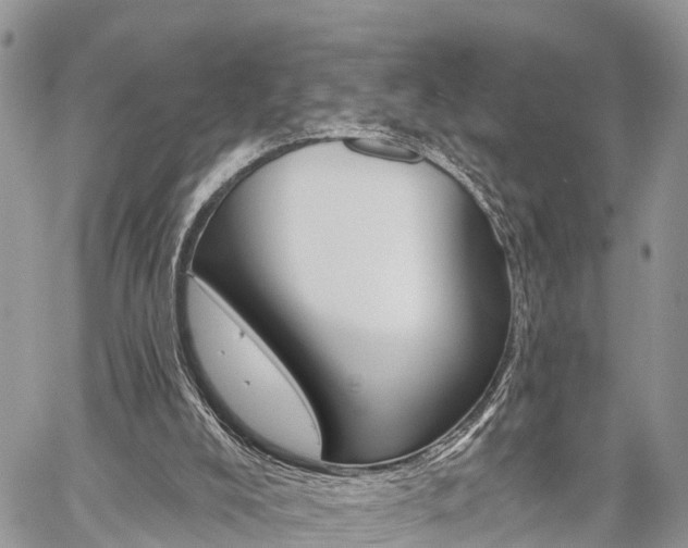X0000059840008200510211009