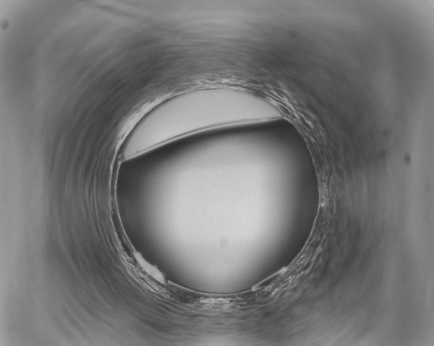 X0000059840052200510211007