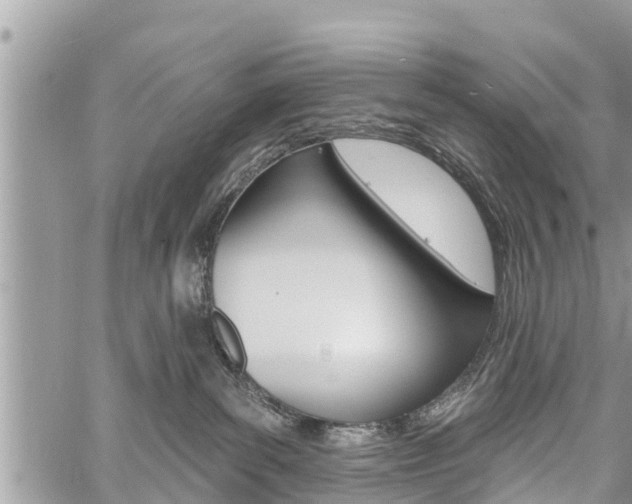 X0000059840139200510211006