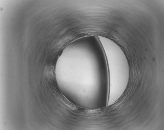 X0000059840141200510211006