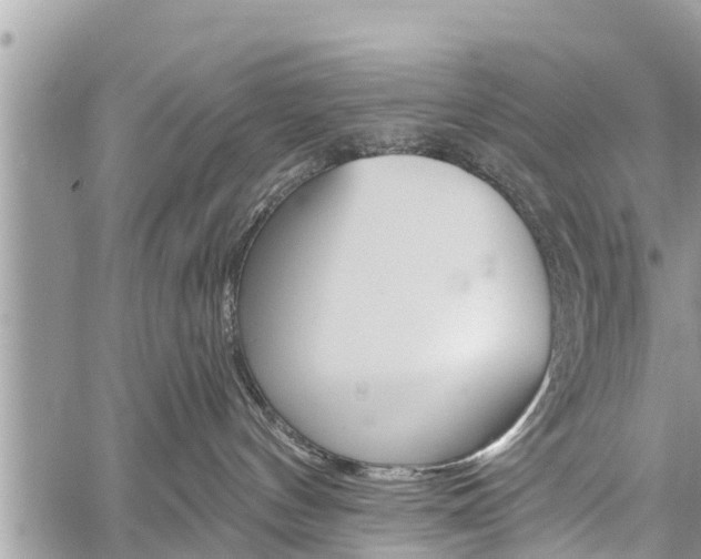 X0000059840144200510211006