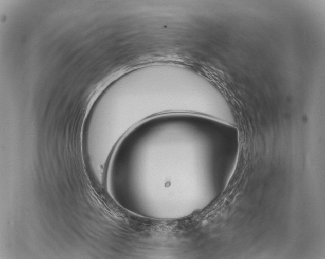 X0000059840148200510211006