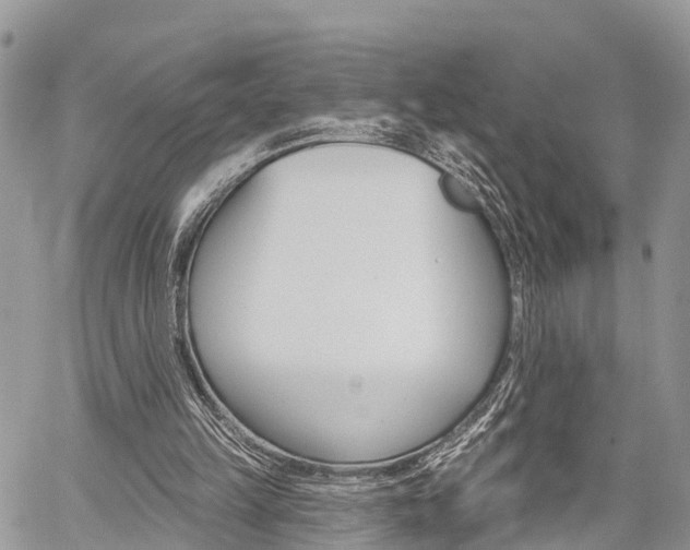 X0000059840149200510211006