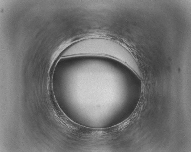 X0000059840152200510211006