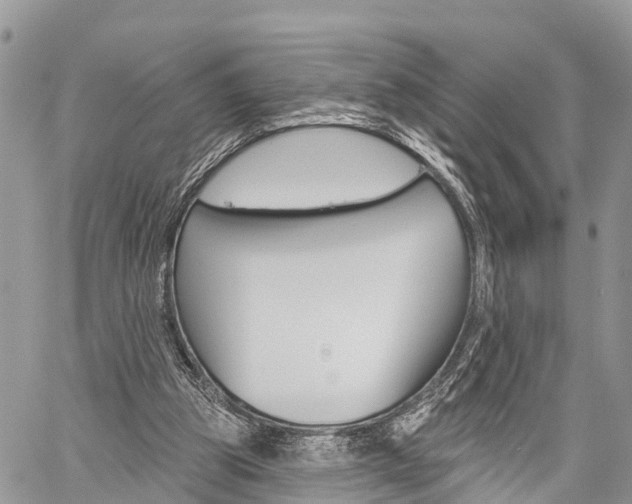 X0000059840153200510211006