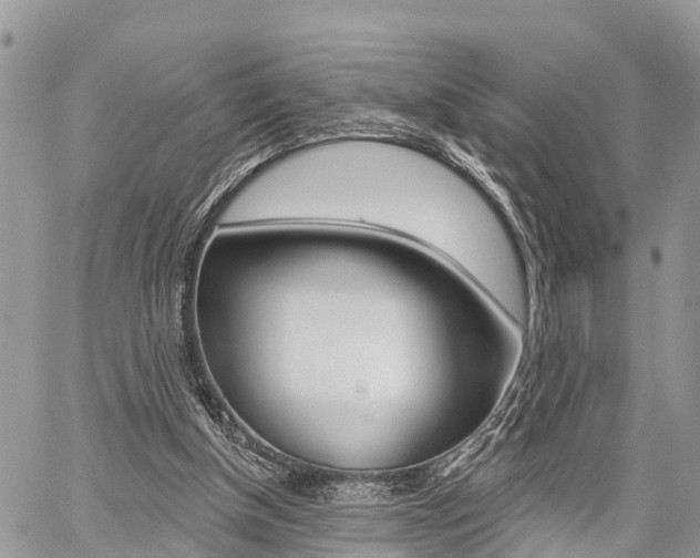 X0000059840154200510211006