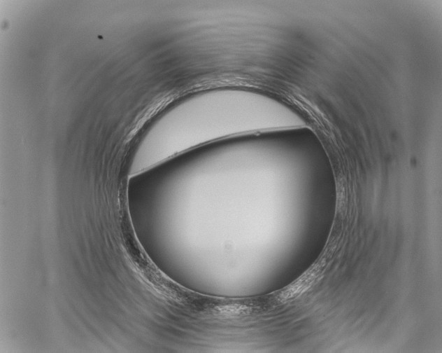 X0000059840158200510211006