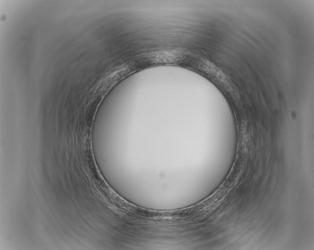 X0000059840161200510211006