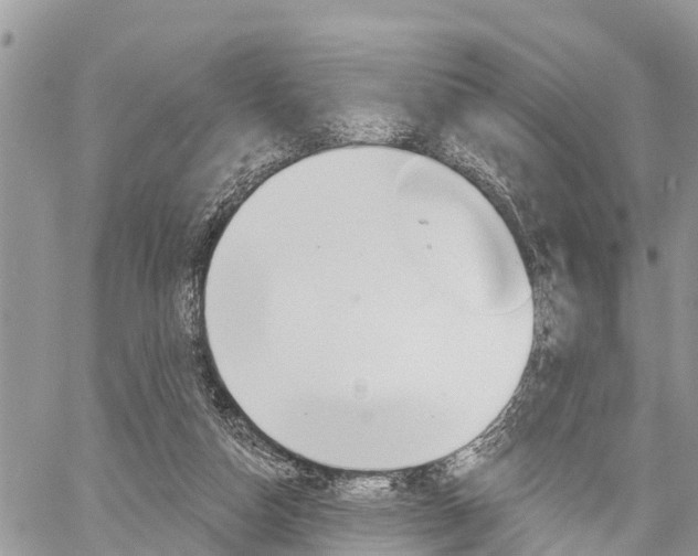 X0000059840162200510211006