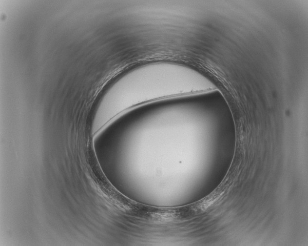 X0000059840164200510211006