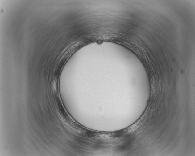 X0000059840166200510211006