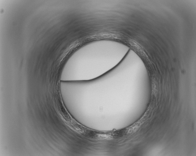 X0000059840167200510211006