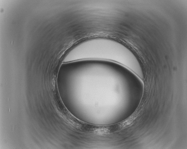 X0000059840168200510211006