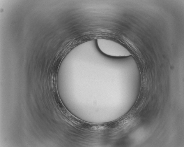 X0000059840169200510211006