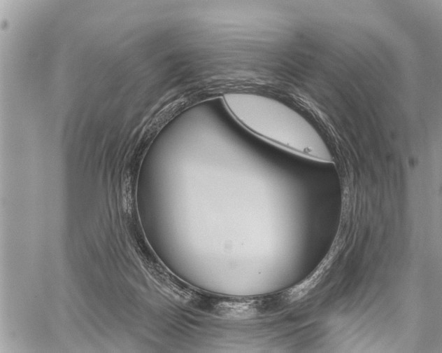 X0000059840170200510211006