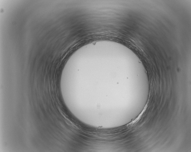 X0000059840174200510211006