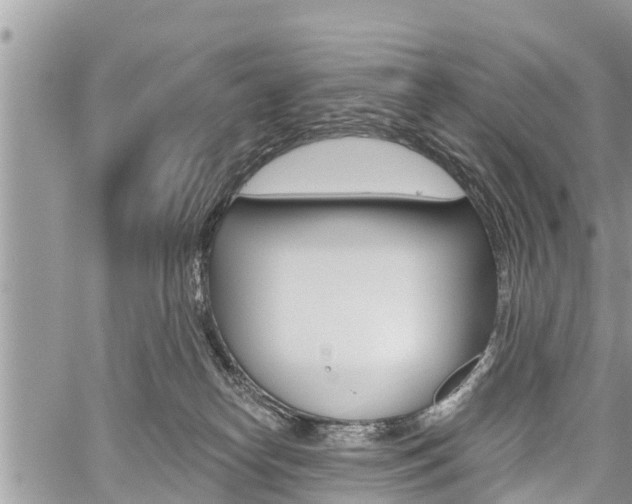 X0000059840182200510211006