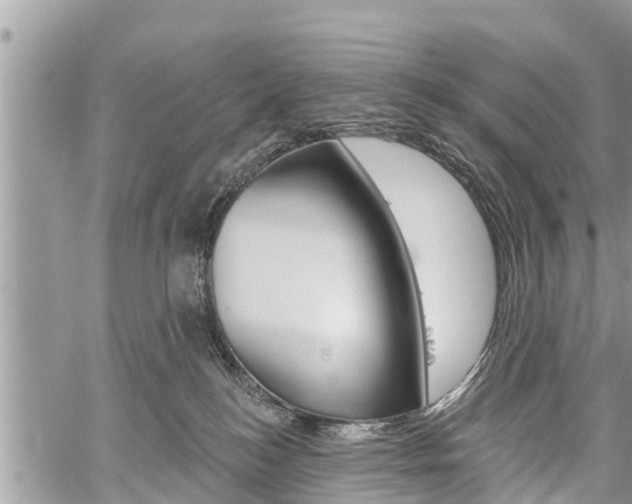 X0000059840184200510211006