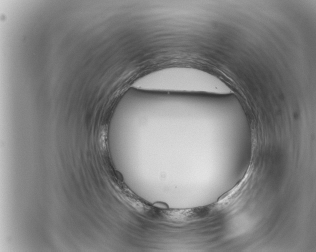 X0000059840191200510211006