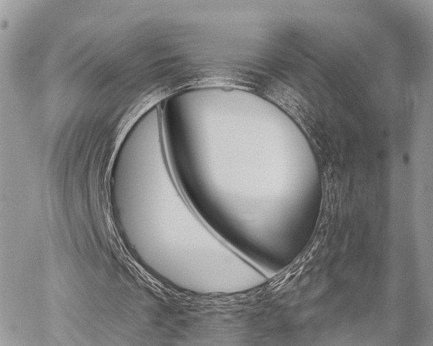 X0000059840289200510211004
