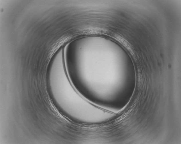 X0000059840485200510211001