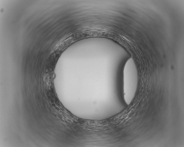 X0000059840774200510210956