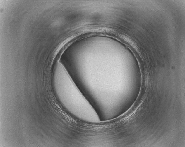 X0000059840829200510210955