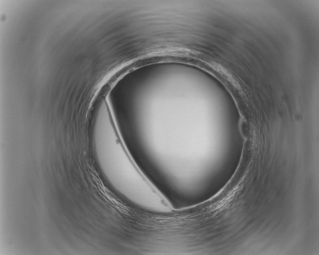 X0000059840830200510210955