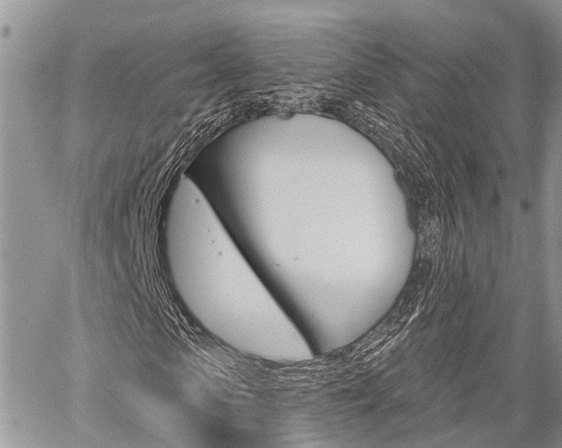 X0000059840913200510210953