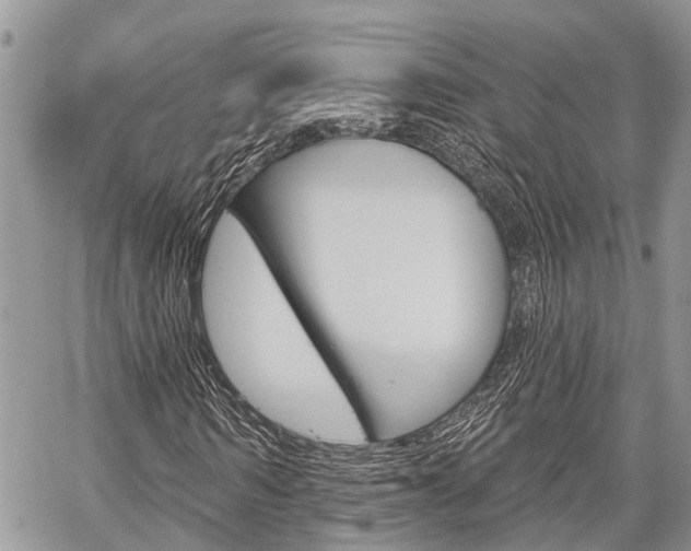 X0000059840962200510210953