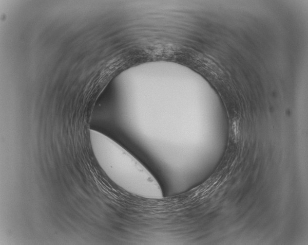 X0000059840963200510210953