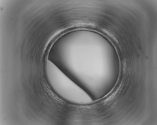 X0000059841021200510210952