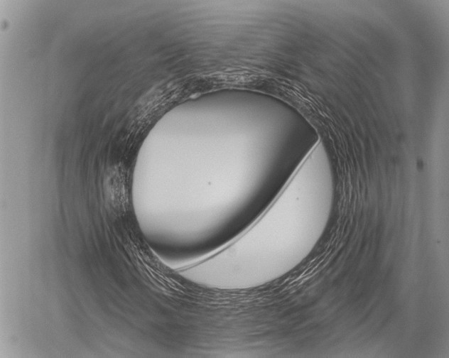 X0000059841058200510210951