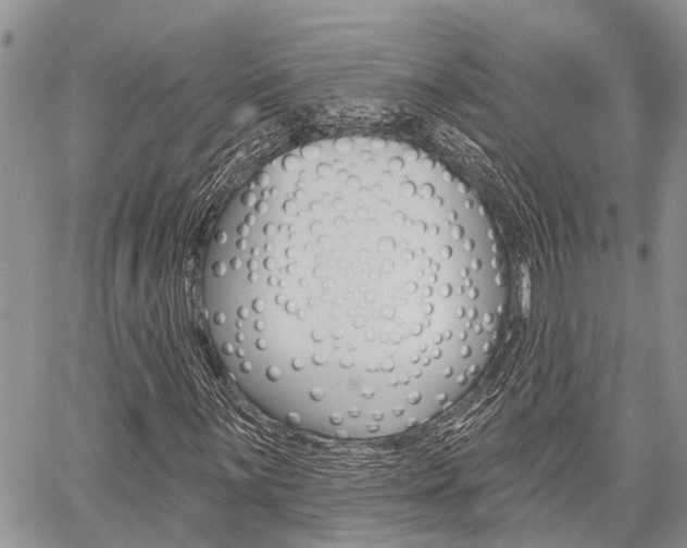 X0000059841059200510210951