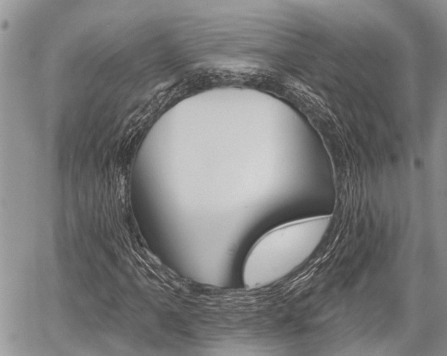 X0000059841061200510210951