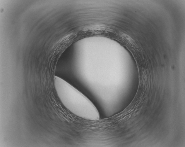 X0000059841062200510210951