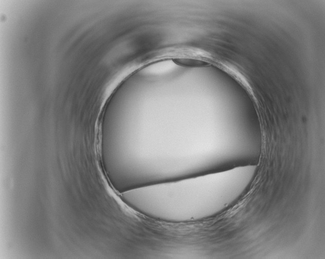 X0000059841103200510210951