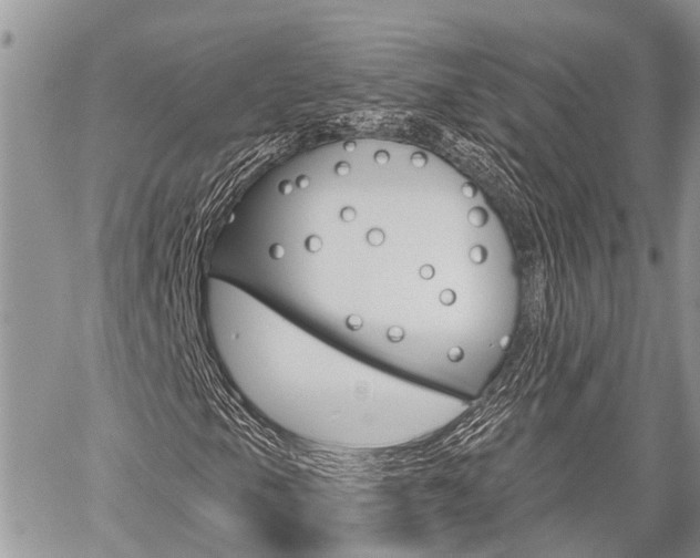 X0000059841105200510210950