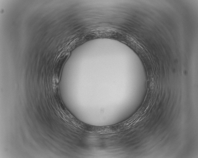 X0000059841108200510210950