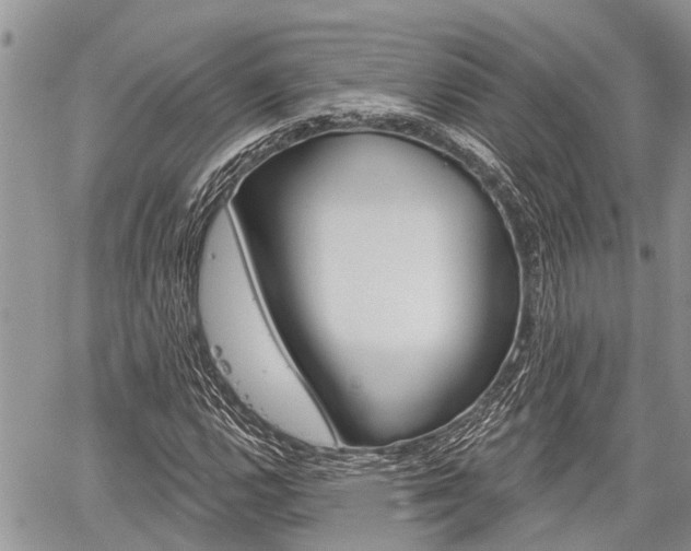 X0000059841112200510210950