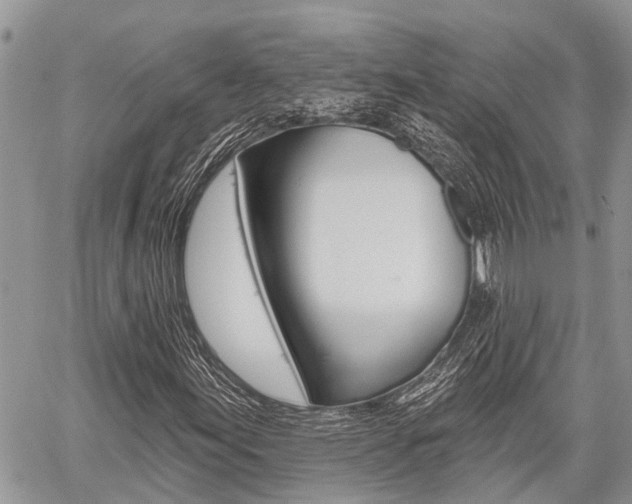X0000059841155200510210950