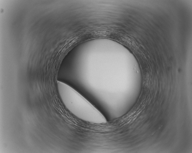 X0000059841201200510210948