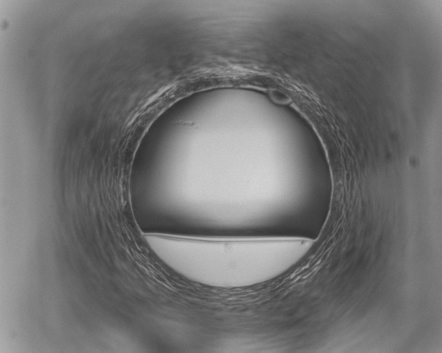 X0000059841205200510210948