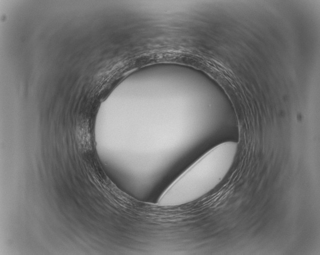 X0000059841252200510210948