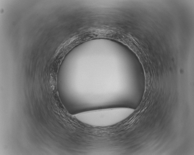 X0000059841253200510210948