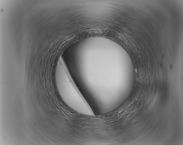 X0000059841297200510210947