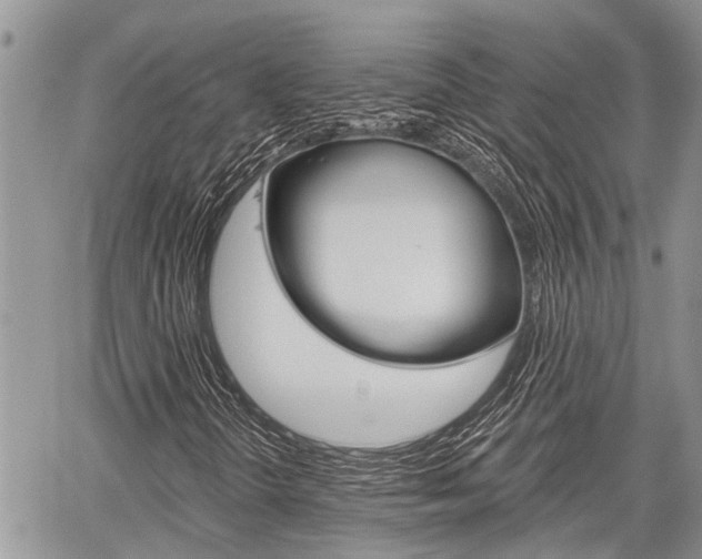 X0000059841298200510210947