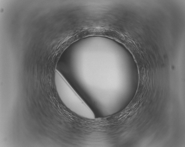 X0000059841301200510210947