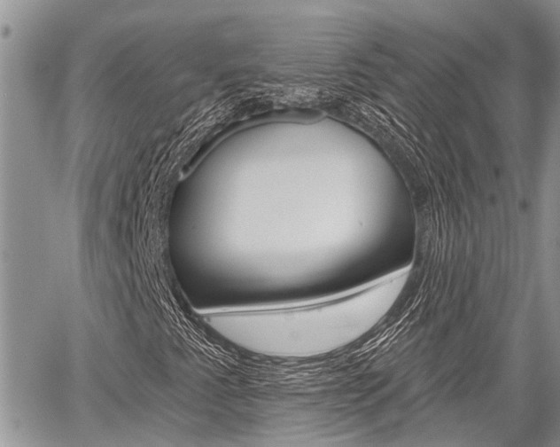 X0000059841345200510210947